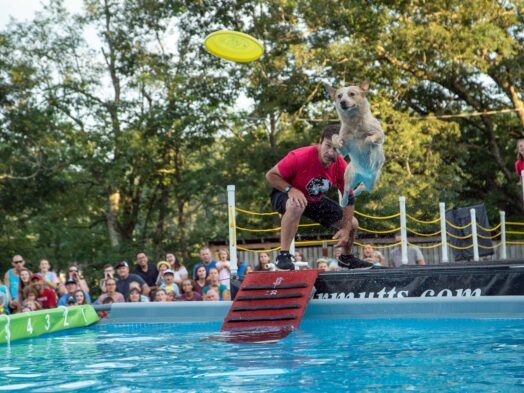 A dog dock diving over water to catch a yellow frisbee
